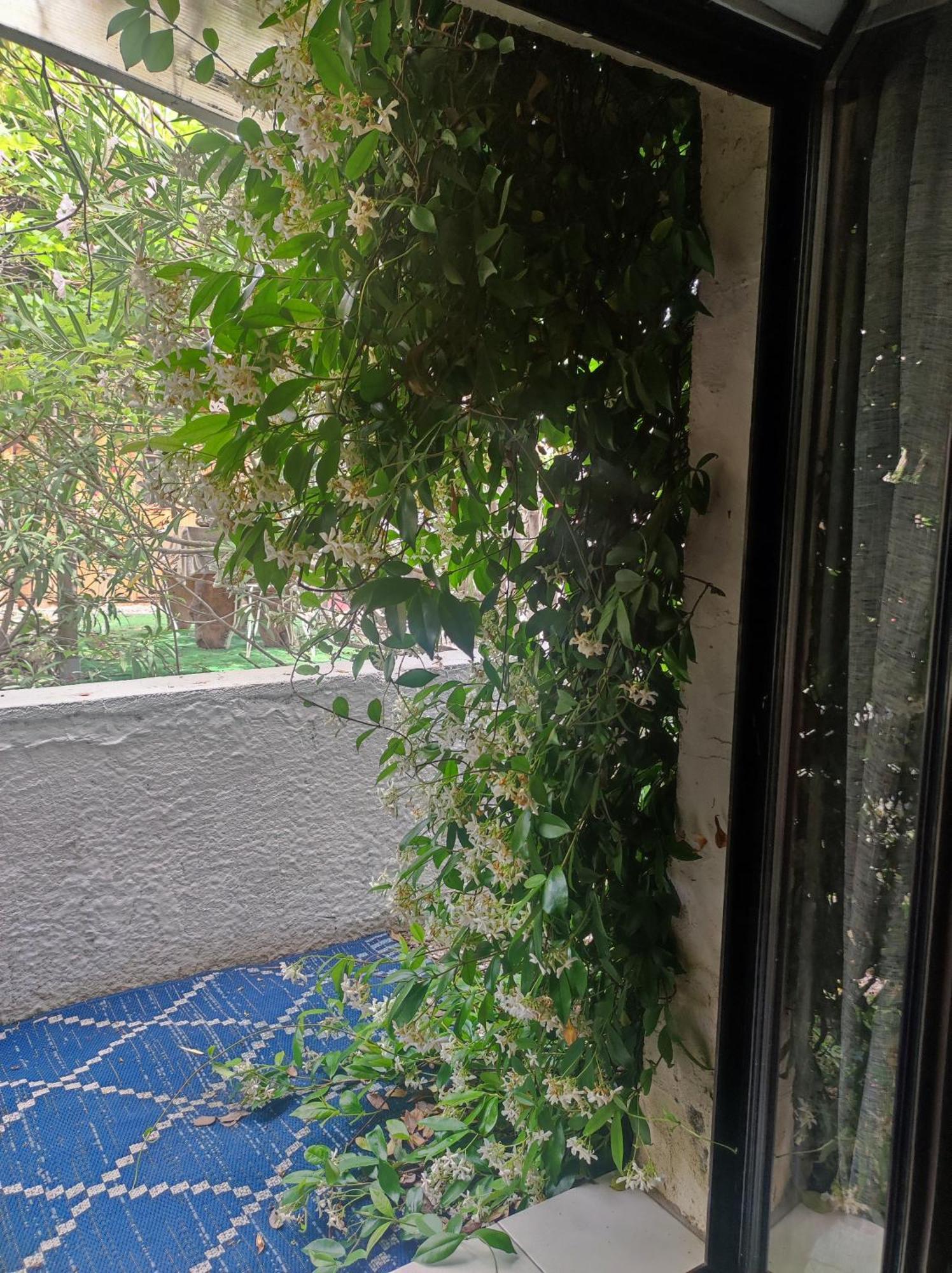 Ingrid Mary Apartment Nimes Bilik gambar